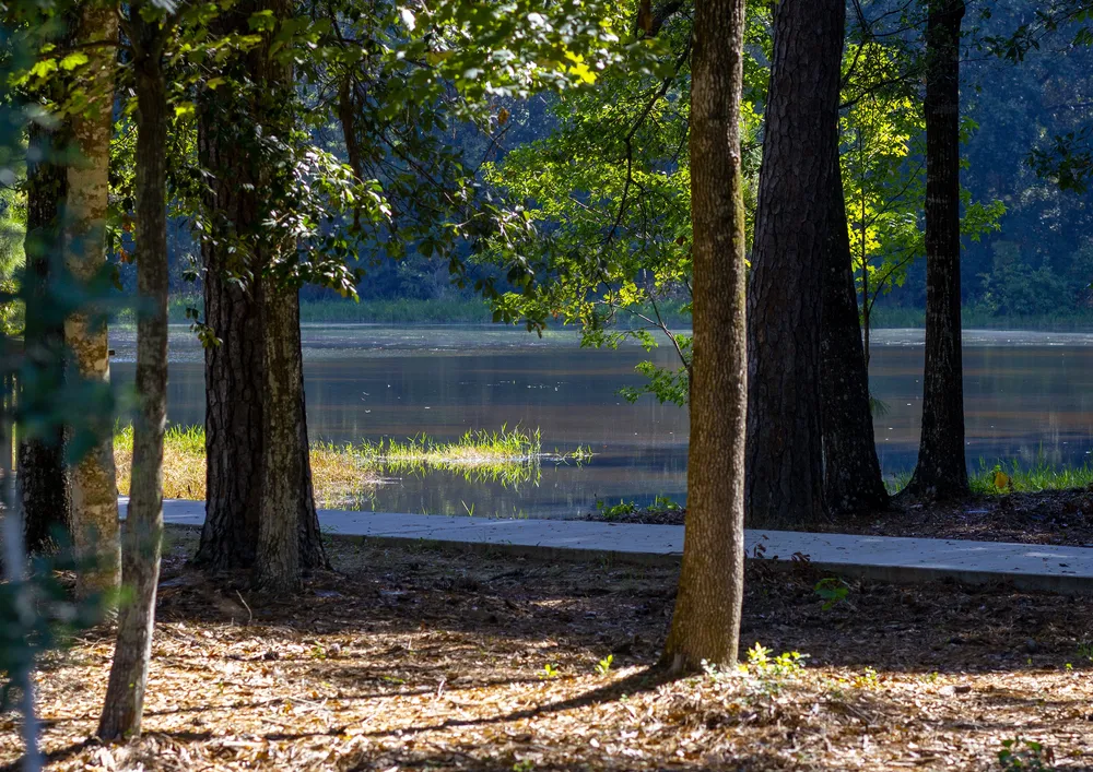 Trees beside a quiet body of water, illustrative lake lifestyle photography
